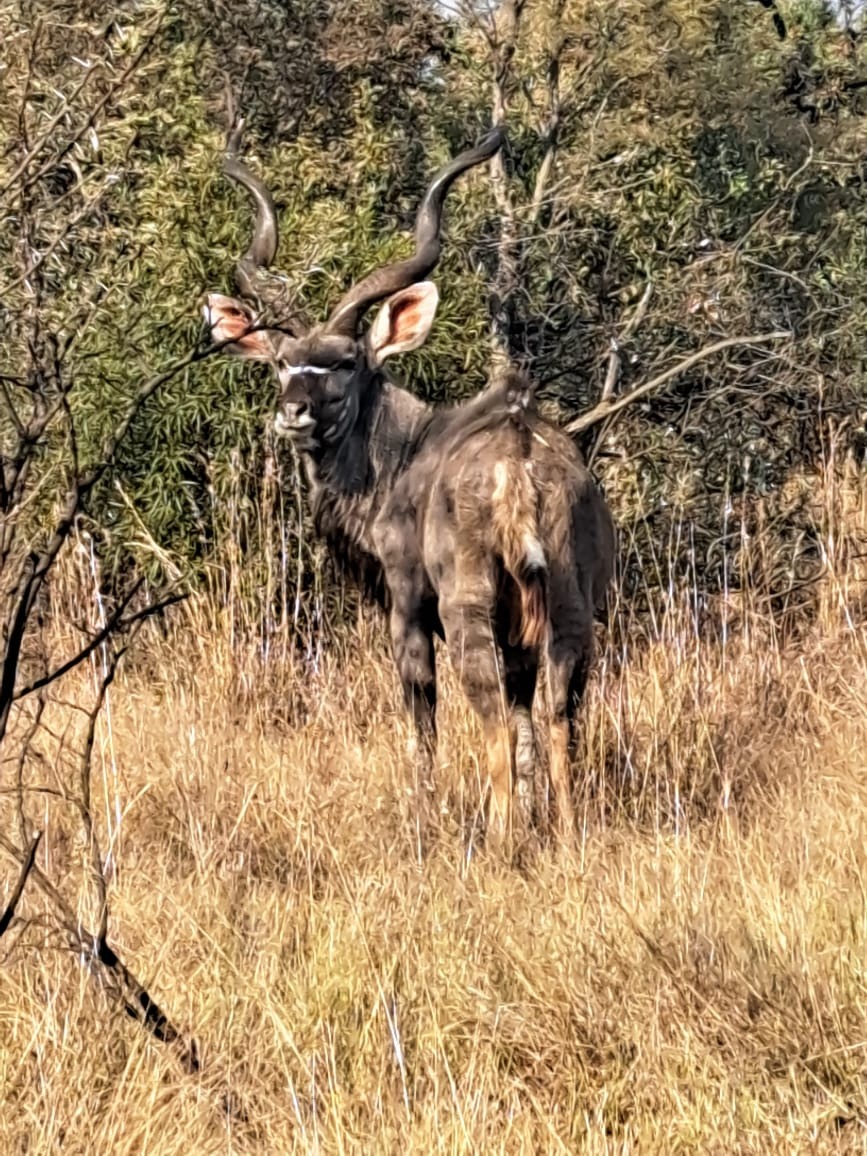 4 Bedroom Property for Sale in Leloko Lifestyle Estate North West